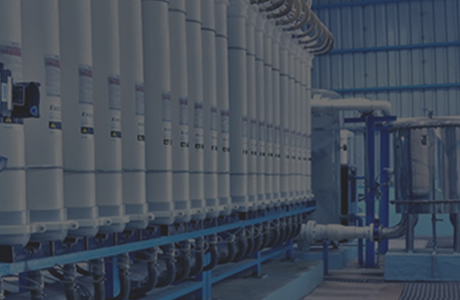 Bangpu Group signavit longum tempus cooperante cum customers ad BPX low-carbon industria soleatus salutaris