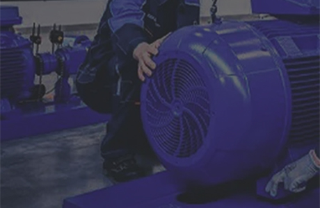 Gratulationes calidae ad Bangpu Anhui germen ad felicem exitum in MMXVII annui venditiones summarium et commendationem colloquium!